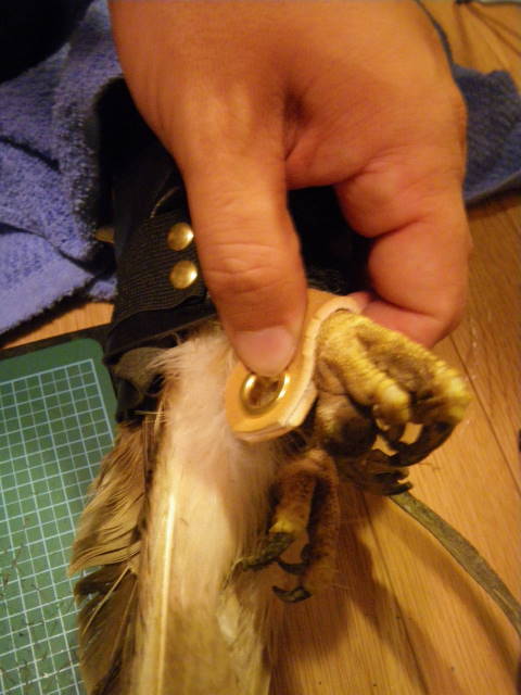 c0132048_9574643.jpg