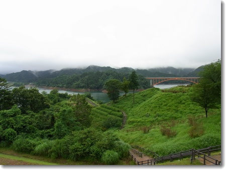 梅雨空の宮ヶ瀬_c0147448_1842761.jpg