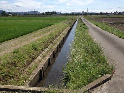 日本選手権in池田山のお知らせ④ゴール３調査_a0012449_18451335.jpg