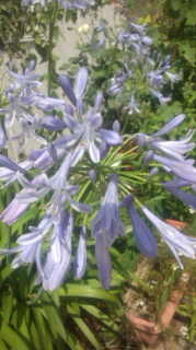 c0132250_13255263.jpg