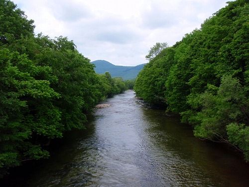 c0097652_1729441.jpg