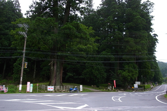 b0250353_22523475.jpg