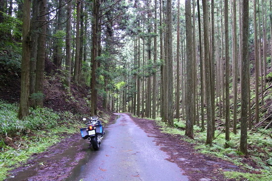 b0250353_22565236.jpg
