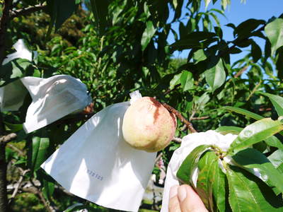 a0254656_923727.jpg