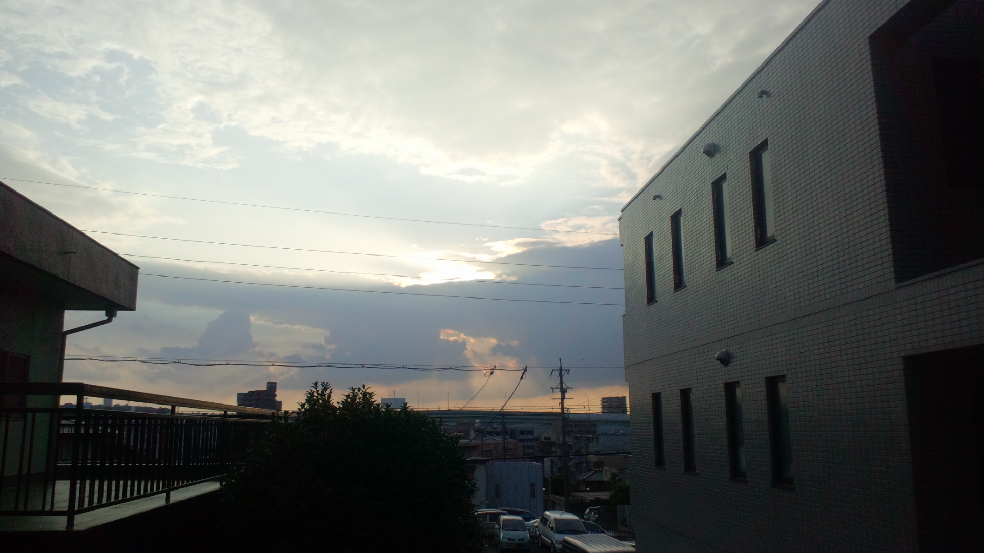 d0109356_1991819.jpg