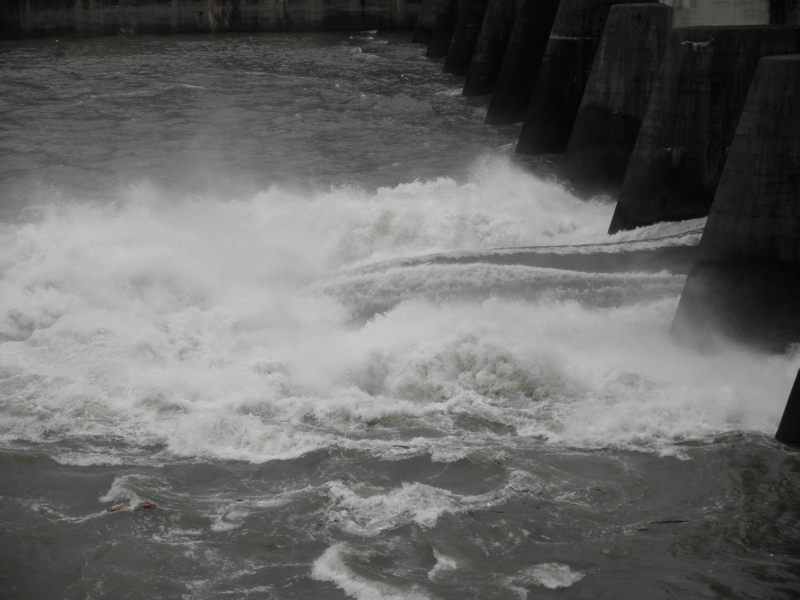 c0016259_22291416.jpg