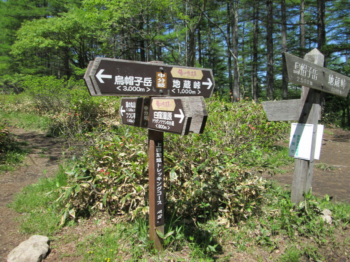 c0140260_22593987.jpg