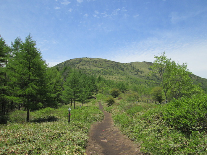 c0140260_230122.jpg