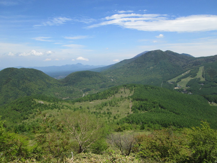 c0140260_2301939.jpg