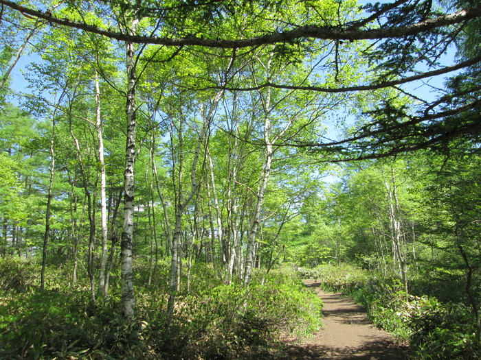 c0140260_2311656.jpg