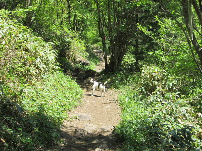 c0140260_231336.jpg