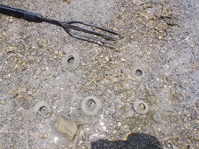 c0180460_1143077.jpg