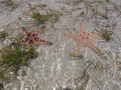 c0180460_1164520.jpg
