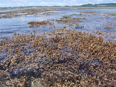 c0180460_1181380.jpg