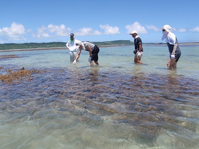 c0180460_1185457.jpg