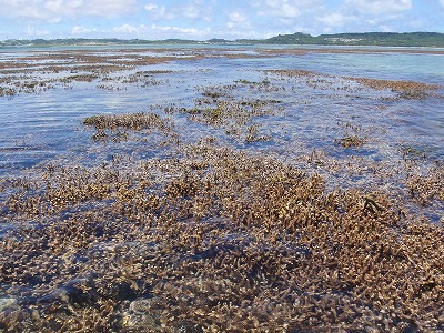 c0180460_119272.jpg