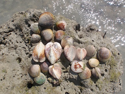 c0180460_1259497.jpg