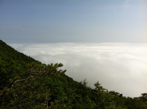 d0214465_21315949.jpg