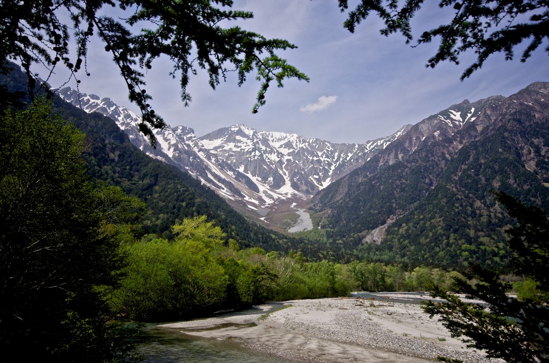 e0131966_5291.jpg