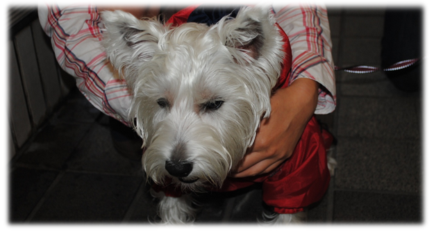 b0242873_918455.png