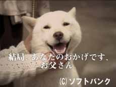 714 ヘルタースケルターだそうです + 千と千尋の神隠し_c0139575_9193679.jpg