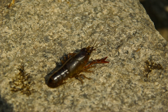 e0139376_23234176.jpg