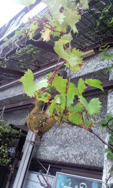 e0054290_222499.jpg