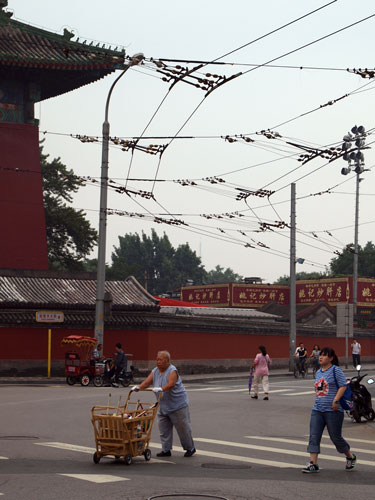 f0236291_14571294.jpg