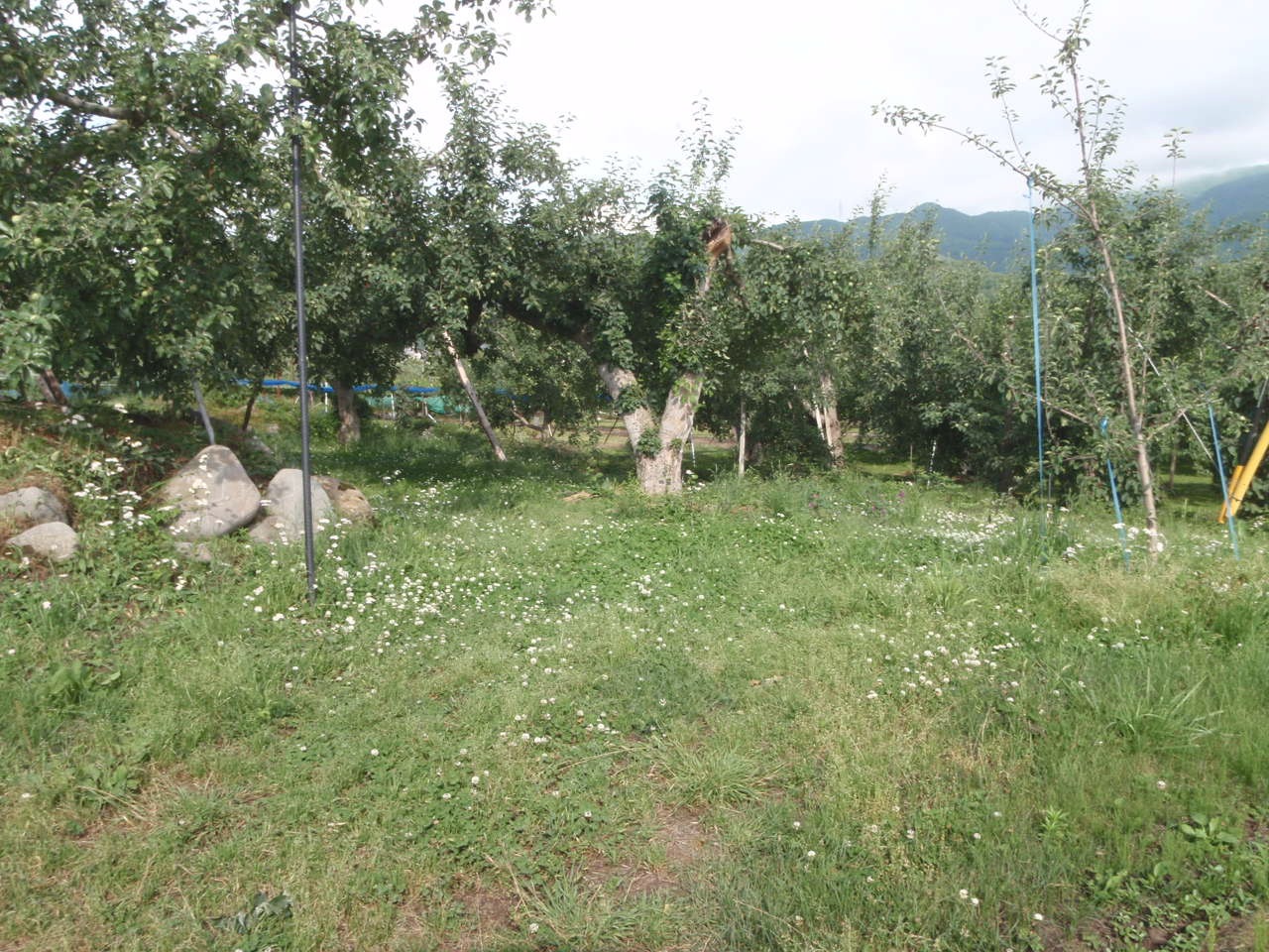 e0159192_2114976.jpg