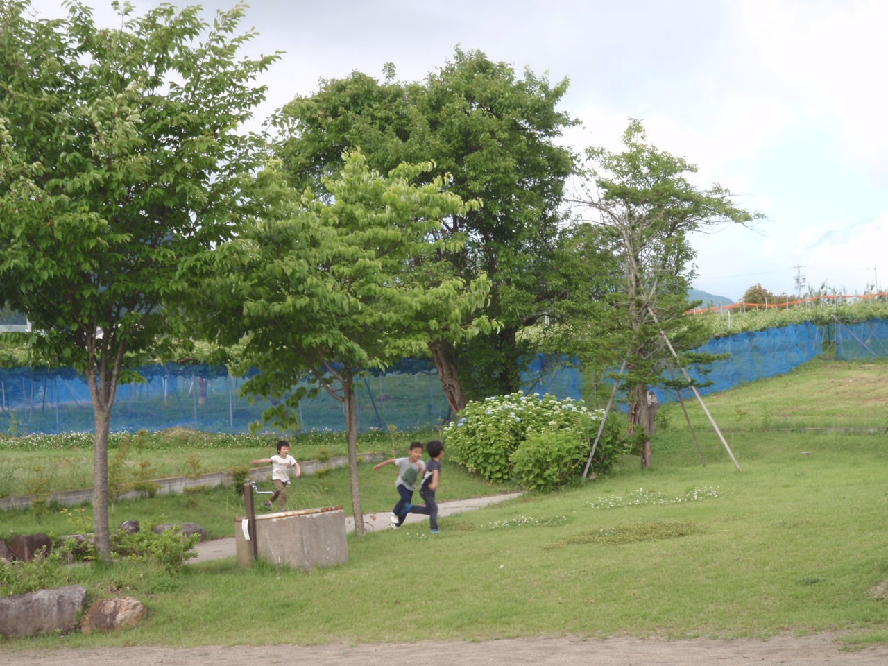 e0159192_212989.jpg