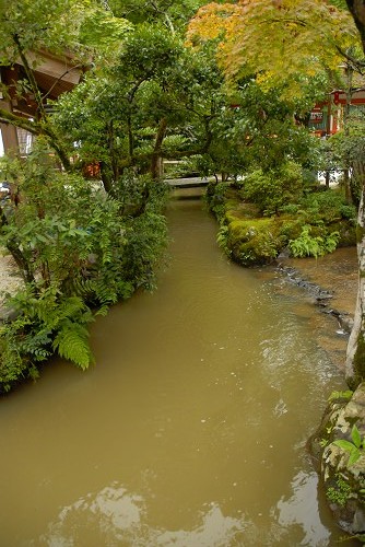 10.09 3京都へ　03　上賀茂神社3_f0085495_1013543.jpg