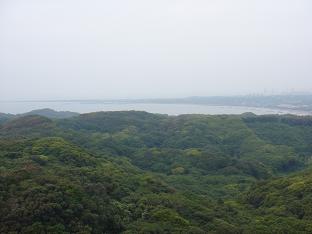 e0147297_0155838.jpg