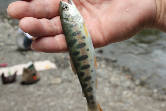 a0248700_2313278.jpg