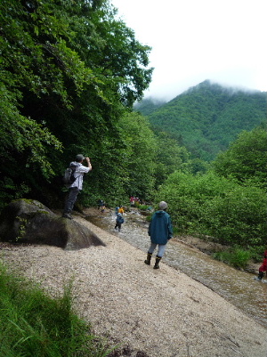 千年の森自然学校_d0008402_19151047.jpg