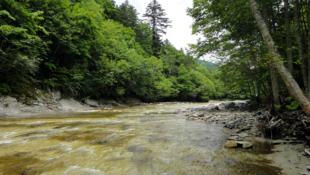 d0051707_21132917.jpg