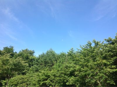 晴れ♪_e0179508_8413497.jpg