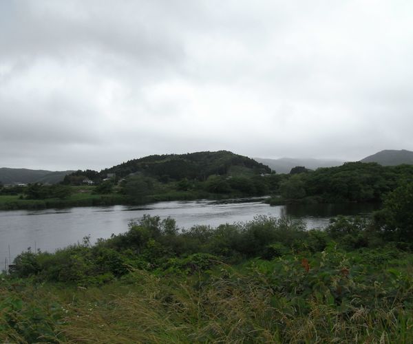 f0006510_22235663.jpg
