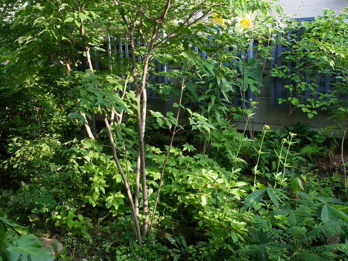 e0276411_2241918.jpg