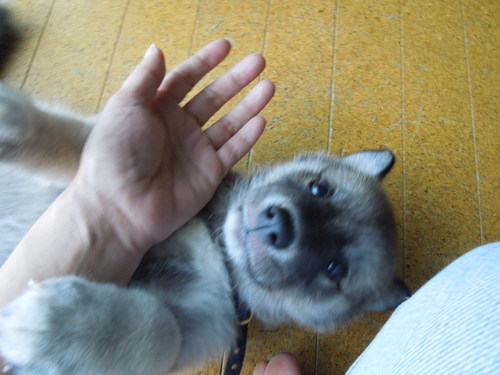 f0218911_16573863.jpg