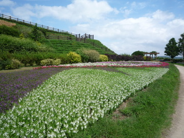 ぶらり淡路島♪_a0000519_190445.jpg