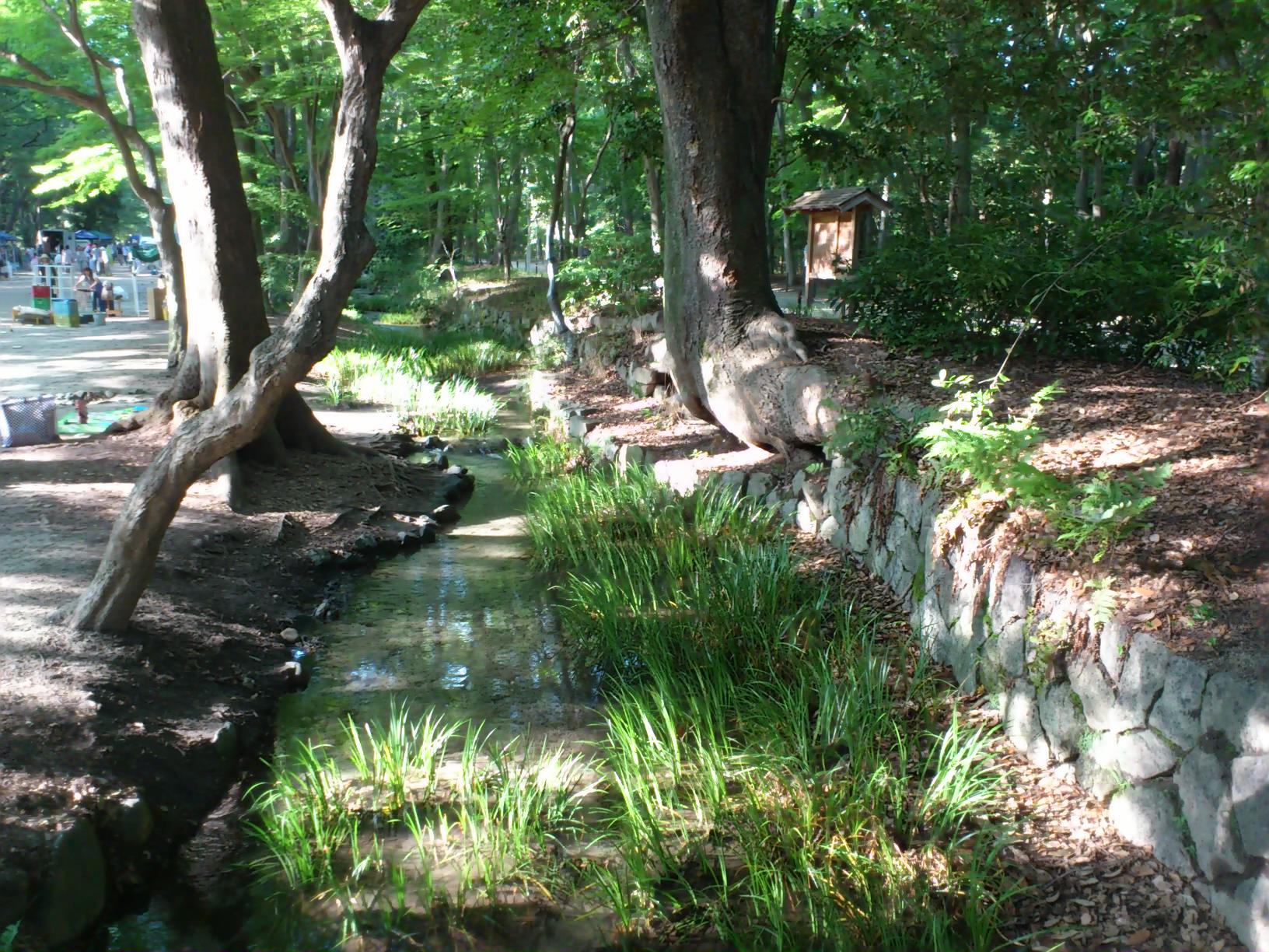 e0128024_152051.jpg