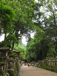 Last Day in Osaka / Final \'Weekend Trip\'_d0010432_2348928.jpg
