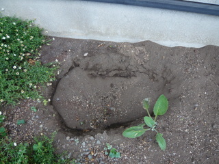 b0200240_20553795.jpg