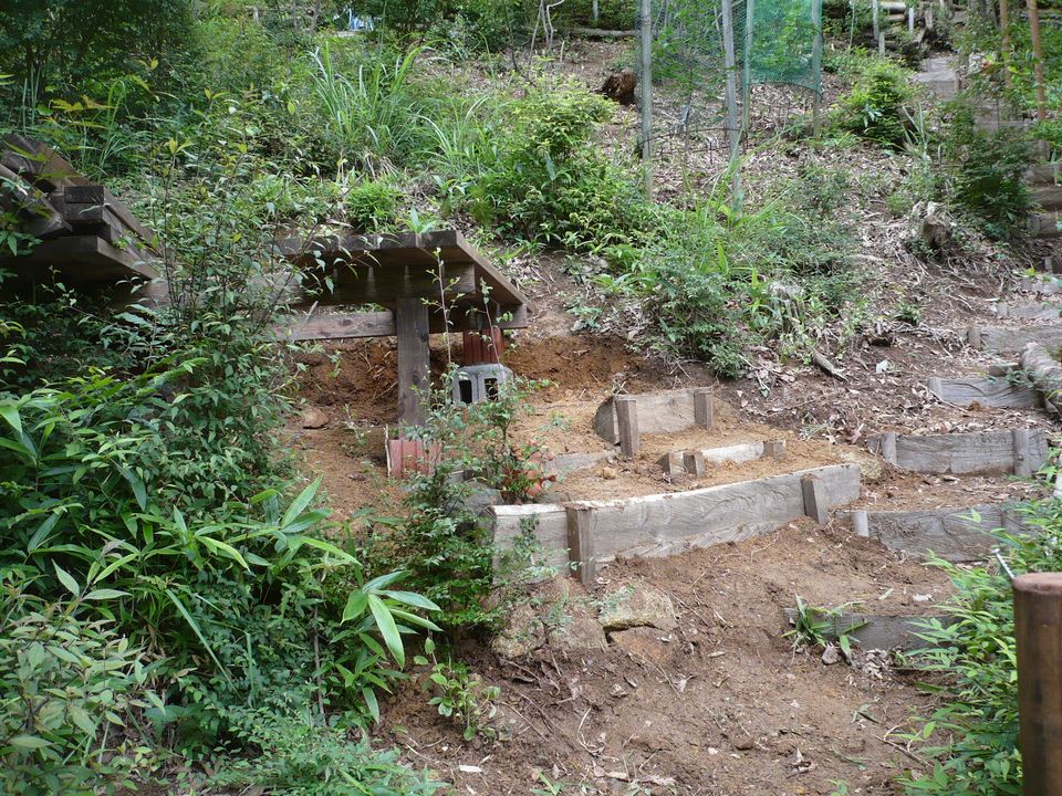 f0090444_20125145.jpg