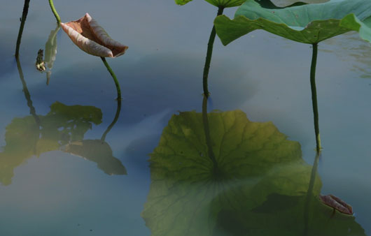 c0093046_8432166.jpg