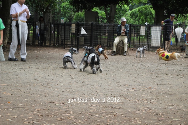 シュナ率高かった代々木公園_b0169548_1384438.jpg