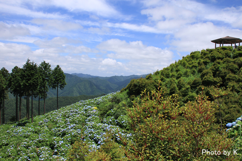 c0127748_16435413.jpg