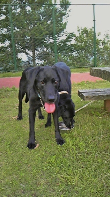 c0117150_2181070.jpg