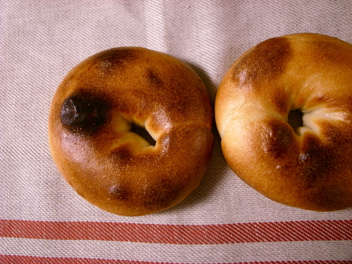 c0240152_8464657.jpg