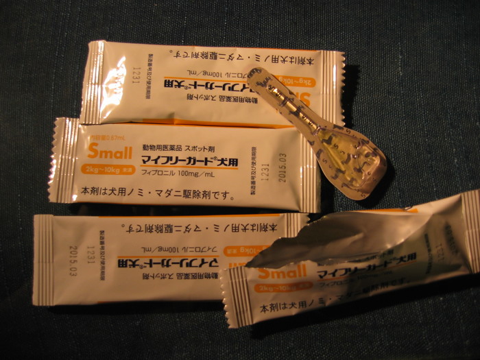 c0140260_227201.jpg